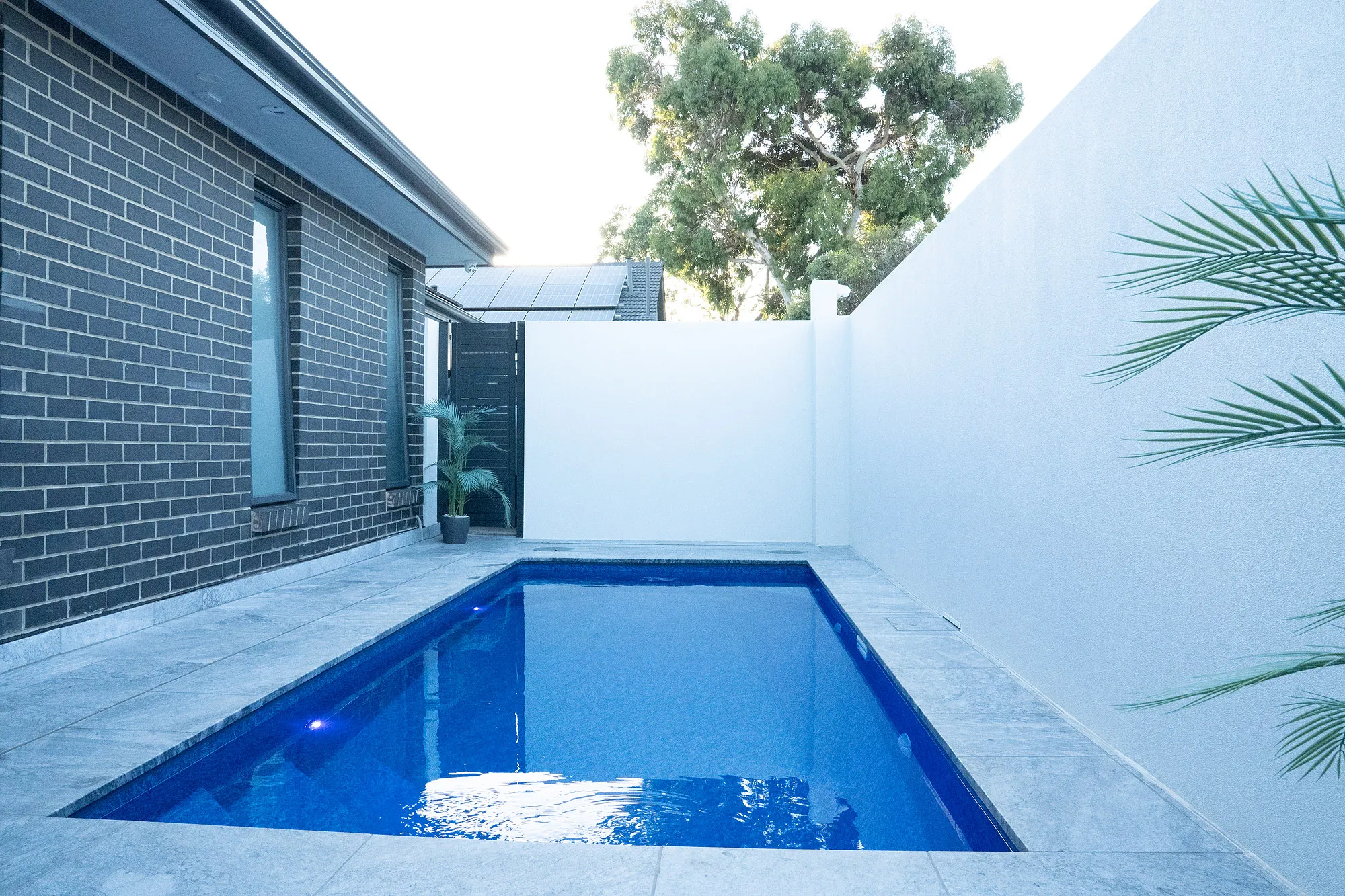 Compact Malibu Classique plunge pool in front courtyard at Largs North with deep blue Maui liner, silver travertine paving, and rendered white walls