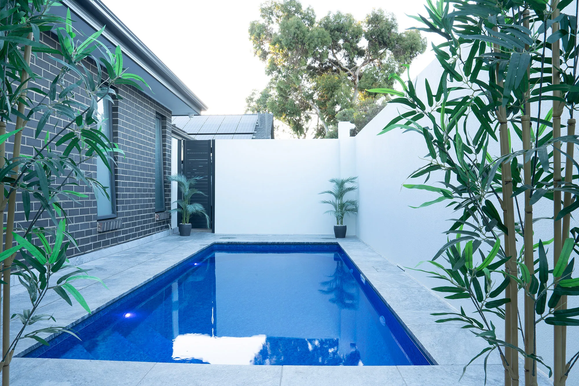 Modern Courtyard Plunge at Largs North