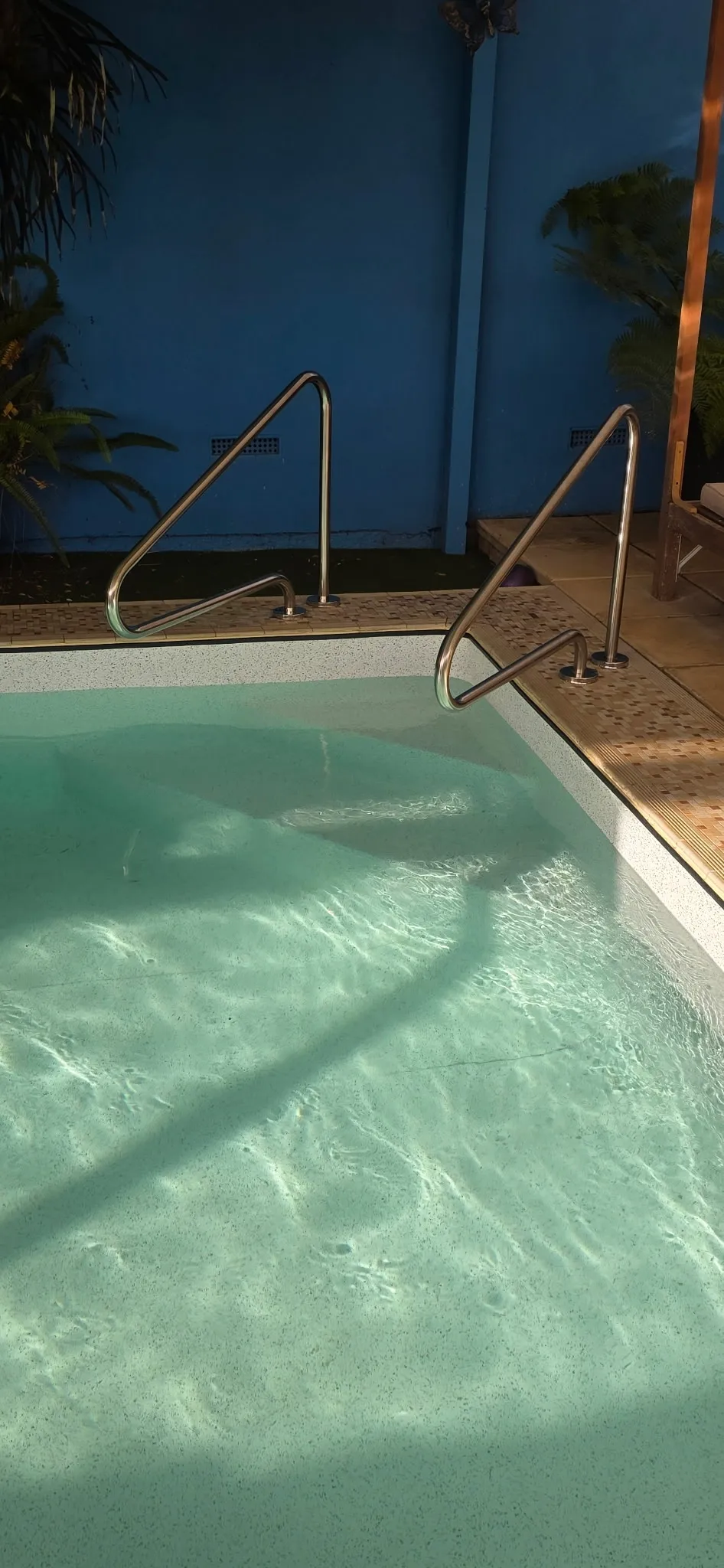Close-up of new SR Smith stainless steel handrails at pool entry with Lindeman liner and tropical planting