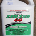 PoolKare Zed Zed 60 kilsalgyded algaecide for controlling black and green algae in swimming pools.